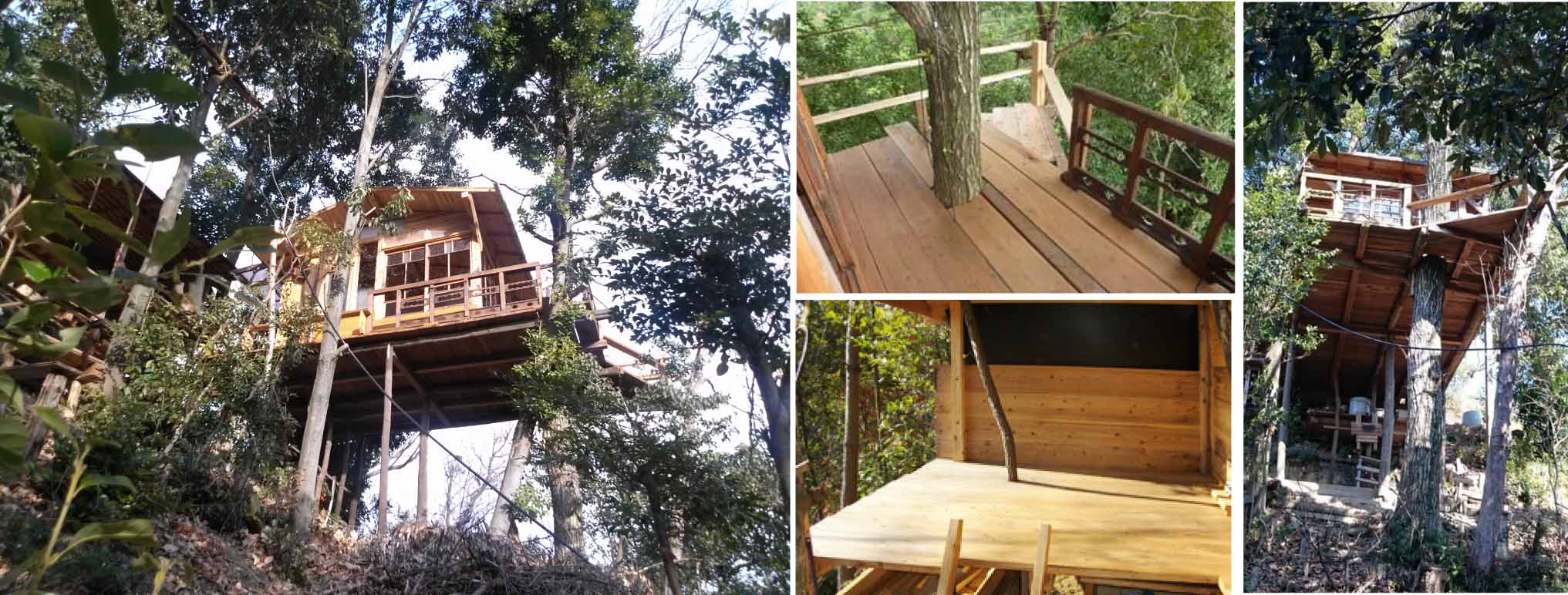 癒しの丘ツリーハウス見学会22 一般社団法人住環境教育協会 癒しの丘ツリーハウス見学会22 一般社団法人住環境教育協会